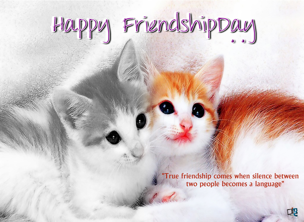 Friendship Quotes And Cute Cat Picture. QuotesGram